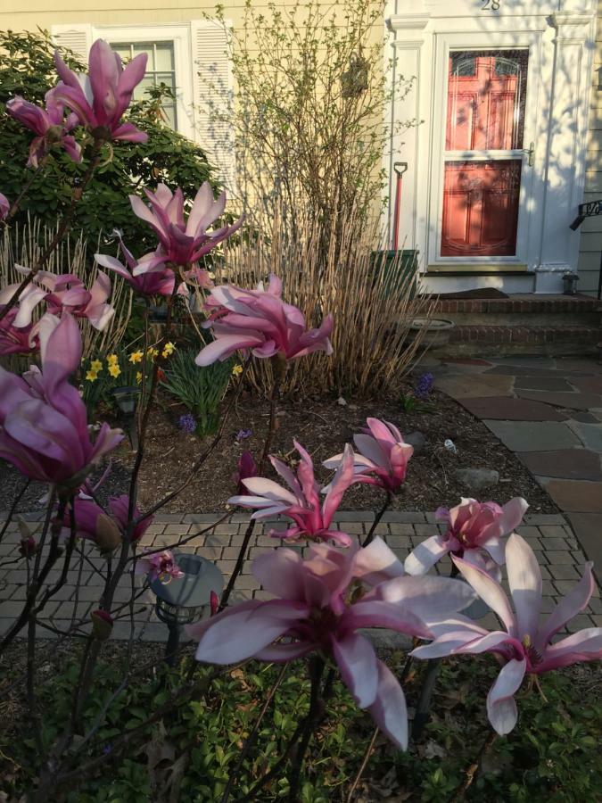 Wellesley Bed And Breakfast Екстериор снимка